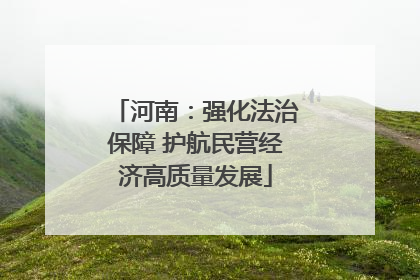 河南：强化法治保障 护航民营经济高质量发展