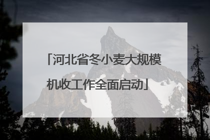 河北省冬小麦大规模机收工作全面启动