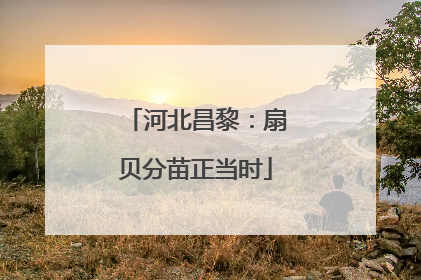 河北昌黎：扇贝分苗正当时