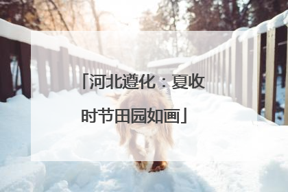 河北遵化：夏收时节田园如画