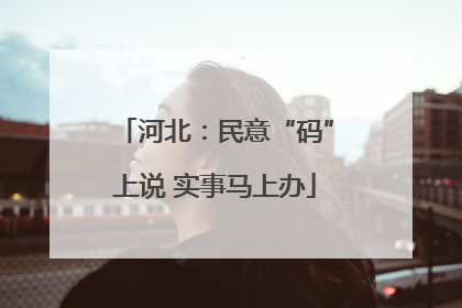 河北：民意“码”上说 实事马上办