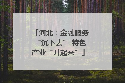 河北：金融服务“沉下去” 特色产业“升起来”