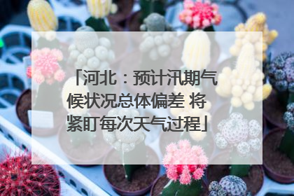 河北：预计汛期气候状况总体偏差 将紧盯每次天气过程