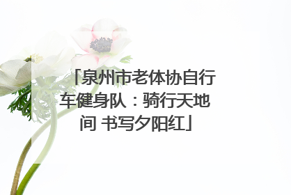 泉州市老体协自行车健身队：骑行天地间 书写夕阳红