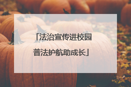 法治宣传进校园 普法护航助成长