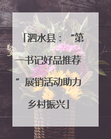 泗水县：“第一书记好品推荐”展销活动助力乡村振兴