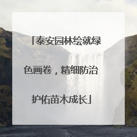 泰安园林绘就绿色画卷，精细防治护佑苗木成长