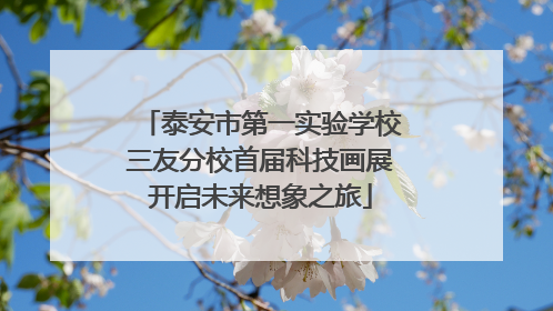 泰安市第一实验学校三友分校首届科技画展开启未来想象之旅