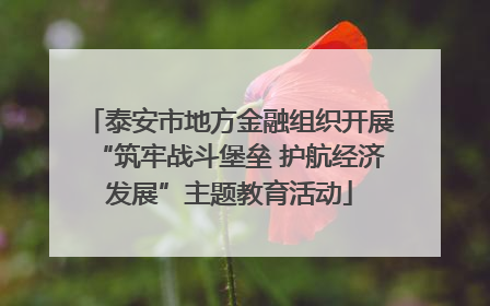 泰安市地方金融组织开展“筑牢战斗堡垒 护航经济发展”主题教育活动