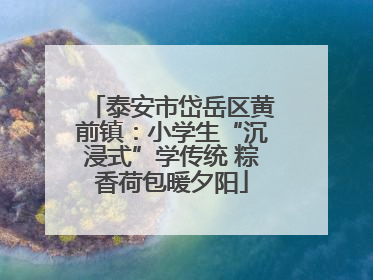 泰安市岱岳区黄前镇：小学生“沉浸式”学传统 粽香荷包暖夕阳