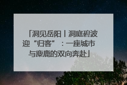 洞见岳阳丨洞庭碧波迎“归客”：一座城市与麋鹿的双向奔赴