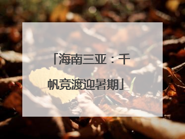 海南三亚：千帆竞渡迎暑期