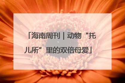 海南周刊｜动物“托儿所”里的双倍母爱