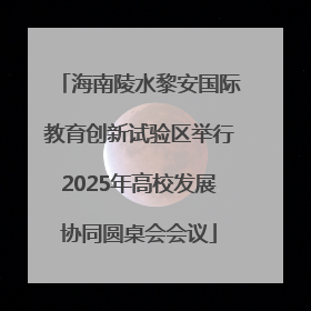 海南陵水黎安国际教育创新试验区举行2025年高校发展协同圆桌会会议