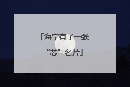 海宁有了一张“芯”名片