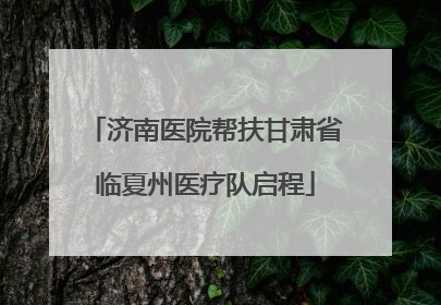 济南医院帮扶甘肃省临夏州医疗队启程