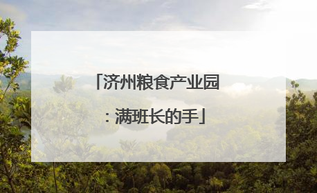 济州粮食产业园：满班长的手