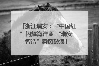 浙江瑞安：“中国红”闪耀海洋蓝 “瑞安智造”乘风破浪
