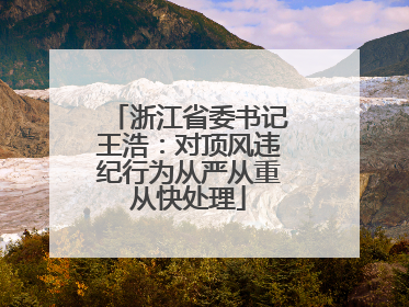 浙江省委书记王浩：对顶风违纪行为从严从重从快处理