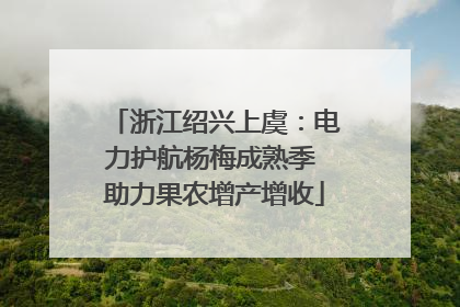 浙江绍兴上虞：电力护航杨梅成熟季 助力果农增产增收