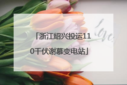 浙江绍兴投运110千伏谢慕变电站