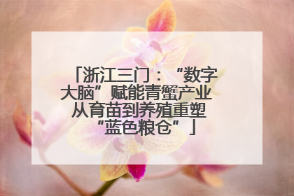 浙江三门：“数字大脑”赋能青蟹产业 从育苗到养殖重塑“蓝色粮仓”