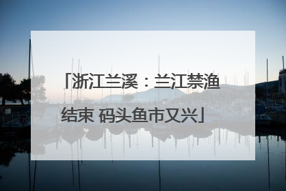 浙江兰溪：兰江禁渔结束 码头鱼市又兴