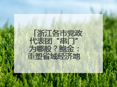 浙江各市党政代表团“串门”为哪般？鲍金：重塑省域经济地理的破题之道