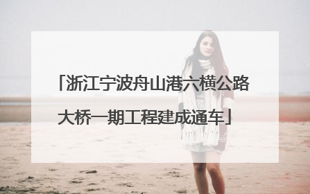 浙江宁波舟山港六横公路大桥一期工程建成通车