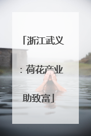 浙江武义：荷花产业助致富