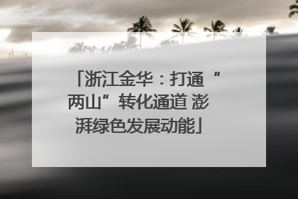 浙江金华：打通“两山”转化通道 澎湃绿色发展动能