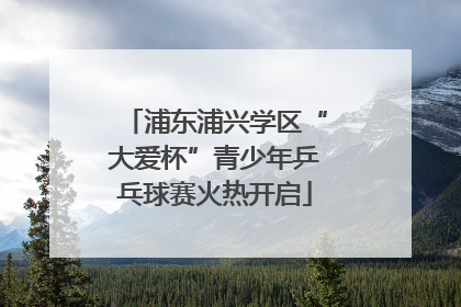 浦东浦兴学区“大爱杯”青少年乒乓球赛火热开启