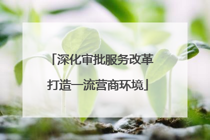 深化审批服务改革 打造一流营商环境