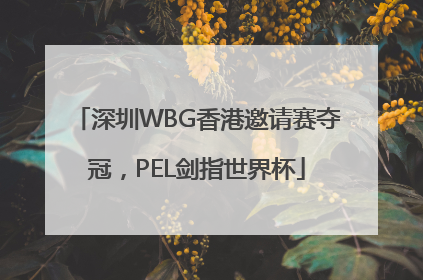 深圳WBG香港邀请赛夺冠，PEL剑指世界杯