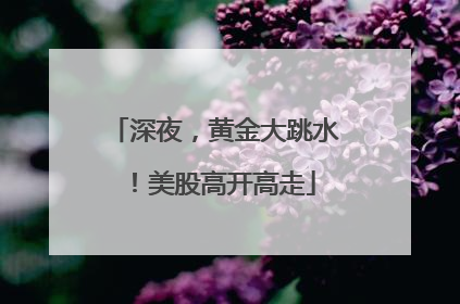 深夜，黄金大跳水！美股高开高走