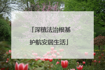 深植法治根基 护航安居生活