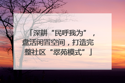 深耕“民呼我为”，盘活闲置空间，打造完整社区“翠苑模式”