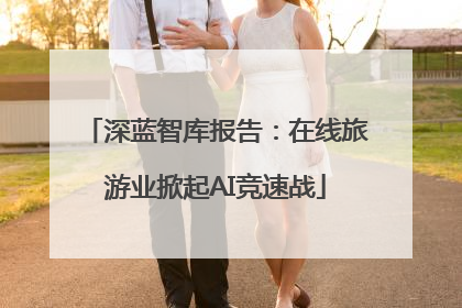 深蓝智库报告：在线旅游业掀起AI竞速战