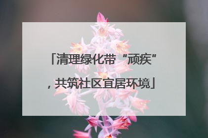 清理绿化带“顽疾”，共筑社区宜居环境