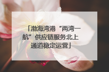 渤海湾港“两湾一航”供应链服务北上通道稳定运营