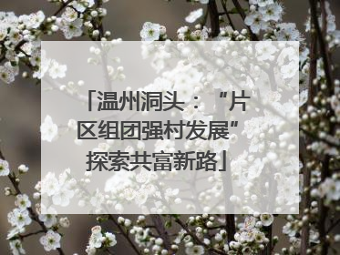 温州洞头：“片区组团强村发展”探索共富新路