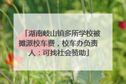 湖南岐山镇多所学校被摊派校车费，校车办负责人：可找社会赞助