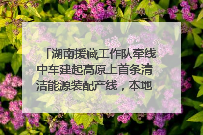 湖南援藏工作队牵线中车建起高原上首条清洁能源装配产线，本地大学生成车间检验员