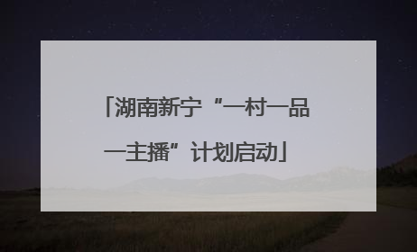 湖南新宁“一村一品一主播”计划启动