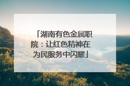 湖南有色金属职院：让红色精神在为民服务中闪耀
