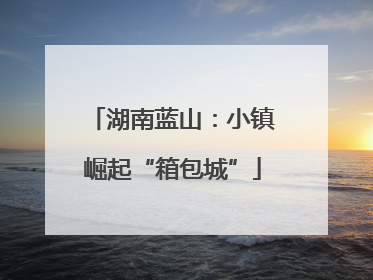 湖南蓝山：小镇崛起“箱包城”