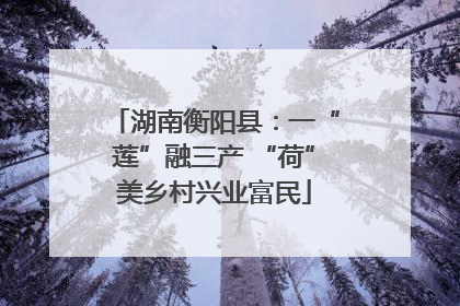 湖南衡阳县：一“莲”融三产 “荷”美乡村兴业富民