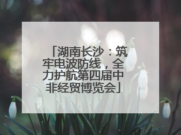 湖南长沙：筑牢电波防线，全力护航第四届中非经贸博览会