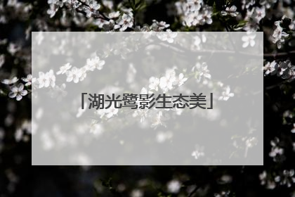 湖光鹭影生态美