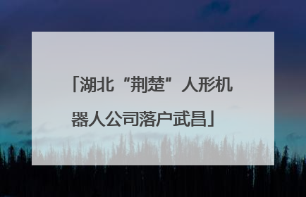 湖北“荆楚”人形机器人公司落户武昌